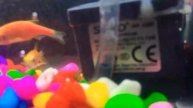 Home made mini aquarium।।DIY AQUARIUM। ।