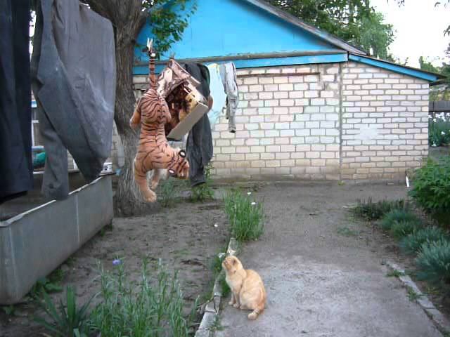 Неужели хмырь повесился?1