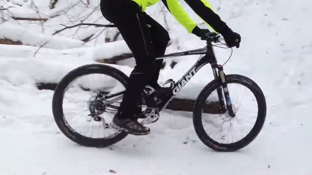 Рыхлый нырок