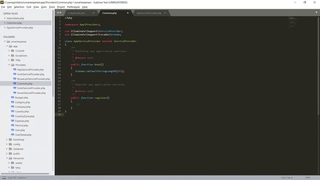 Laravel Application | Company   Common File and Some Styling | 68