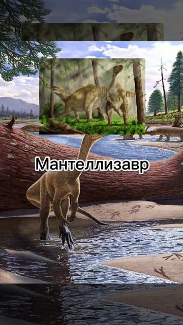 Какие Динозавры жили на территории Германии