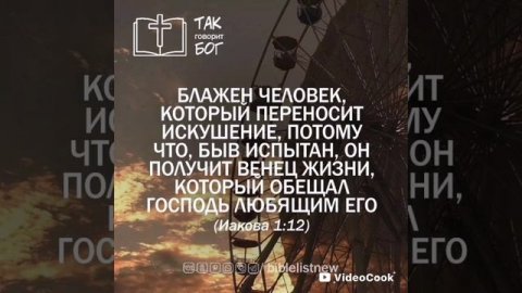 VideoCook_20250421_085239273.mp4