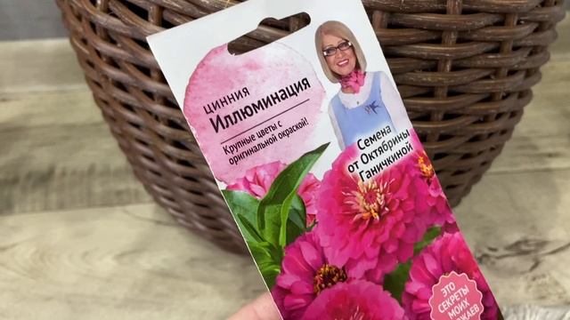 Сею цинии.