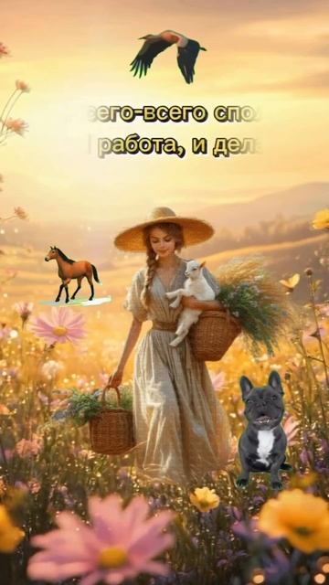 Добрый день!