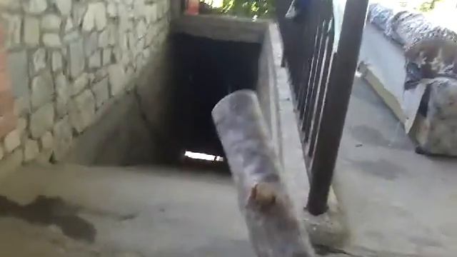 Я вызвал тики тоби