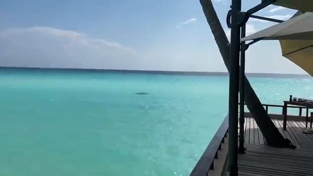 India Maldives Tourist Places Listen with beautiful music Music to listen to in solitude