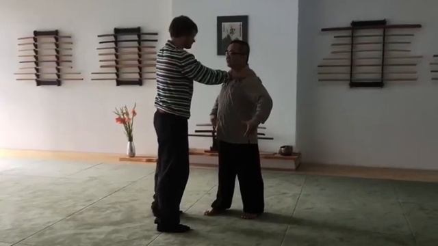 Master Huai Hsiang Wang - Prana Dynamics | 5th instructor at THE MARTIAL CAMP 2020