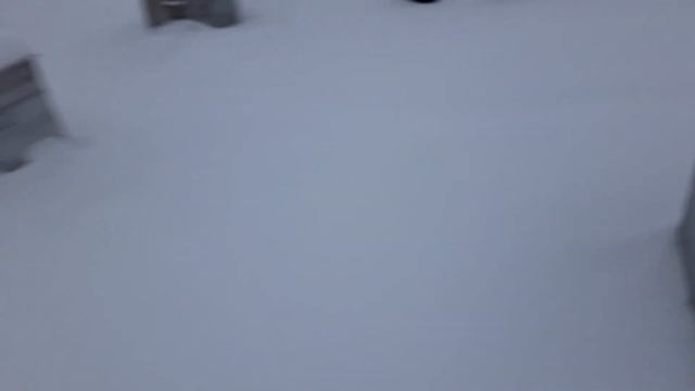 Похозяйничали на пасеке