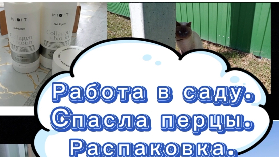 Работа в саду.Спасла перцы. Распаковка.