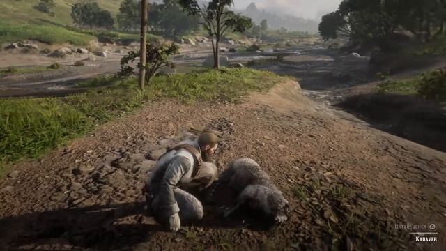 Red Dead Redemption 2 - Legendärer Kojote