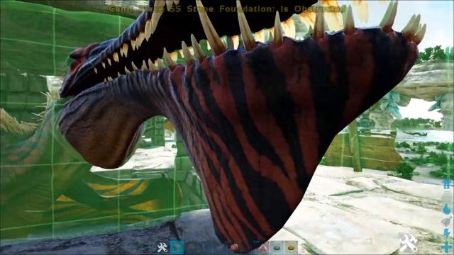 TROPEOGNATHUS 'INSTA' TAME TRICK