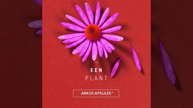 Arkocaps BIO Echinacea – Versterk uw immuunsysteem – 15’’