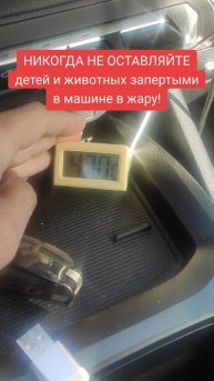 Никогда не оставляйте детей и животных запертыми в машине в жару!