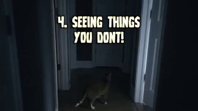 8 Ways Cats Scare You Out! 8 manières chats panic you