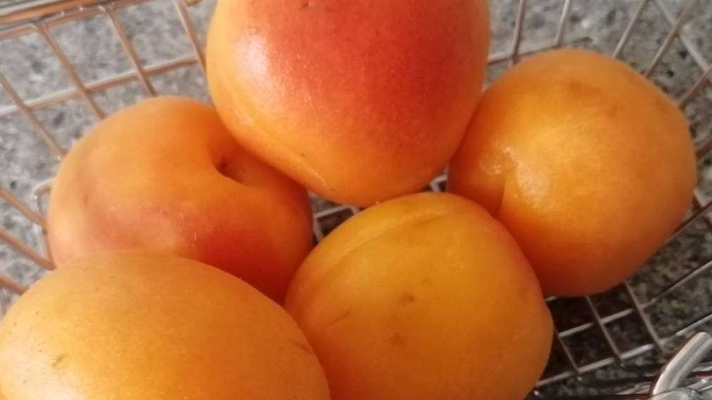 Абрикосовый пирог, тает во рту