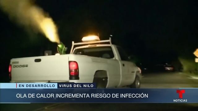 Ya son 7 muertes por el virus del Nilo en 2024 en EE.UU. Así puede prevenirlo | Noticias Telemundo