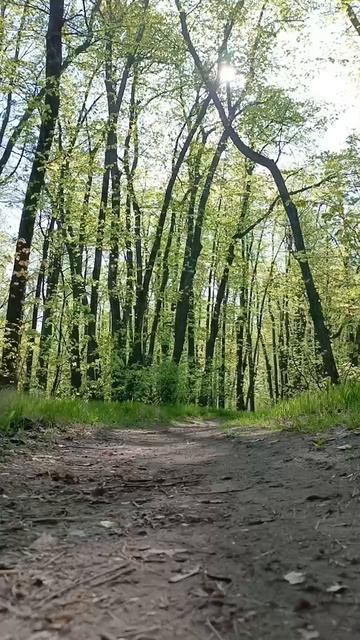 пробежка.