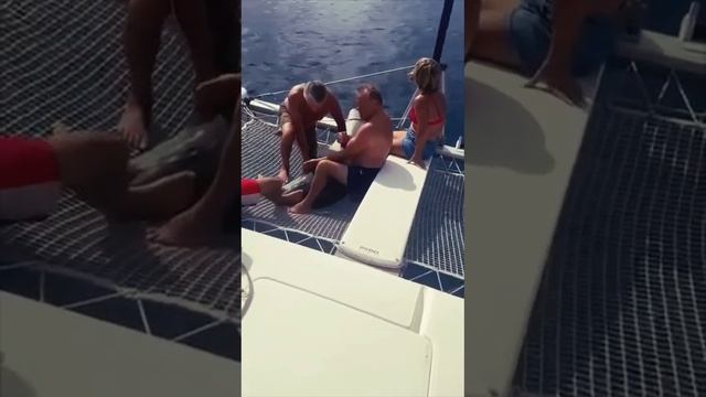 ДЕЛЬФИН ЗАПРЫГНУЛ НА КАТАМАРАН!