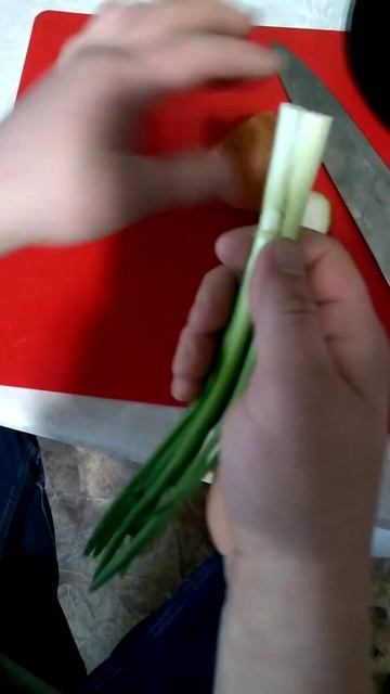 Наш лучок