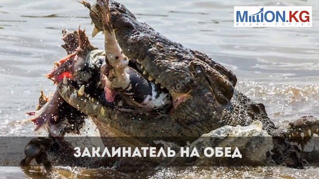 СОБЫТИЯ ДНЯ(19.09.2017). НОВОСТИ ЗА НЕСКОЛЬКО МИНУТ