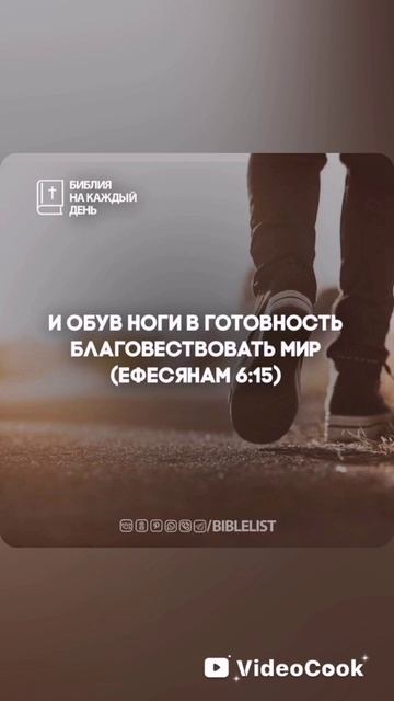 VideoCook_20250422_132152338.mp4