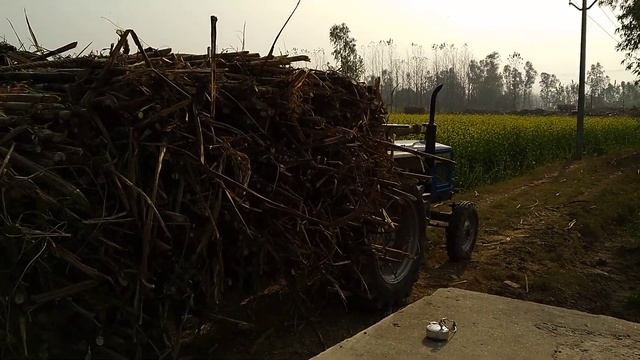 Hmt 4022 Tractor  pulled Loaded Sugarcane Trolly  2004 Model  TRACTORS LOVERS