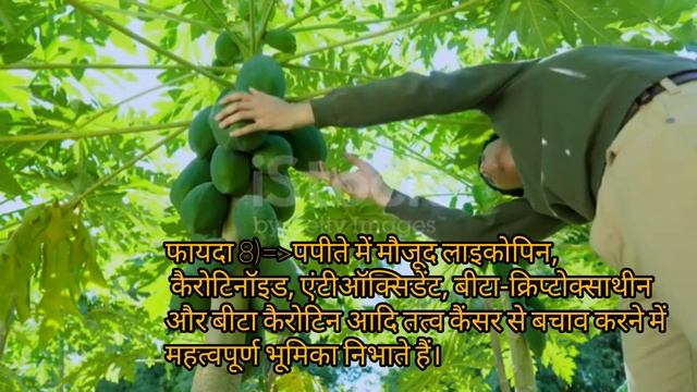 Ten benefits of eating papaya that you might don't know.in Hindi[2020]
