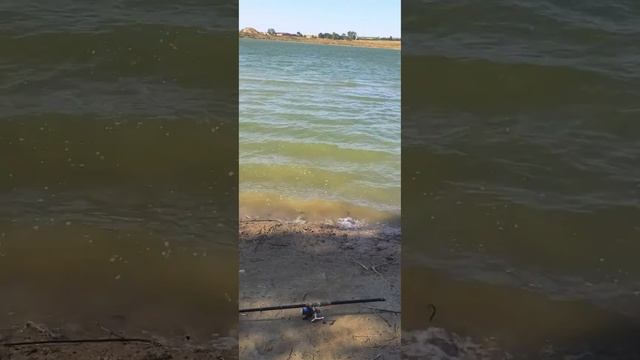 ızgara yine bana kaldı balıkçı oltalara bakiyor
