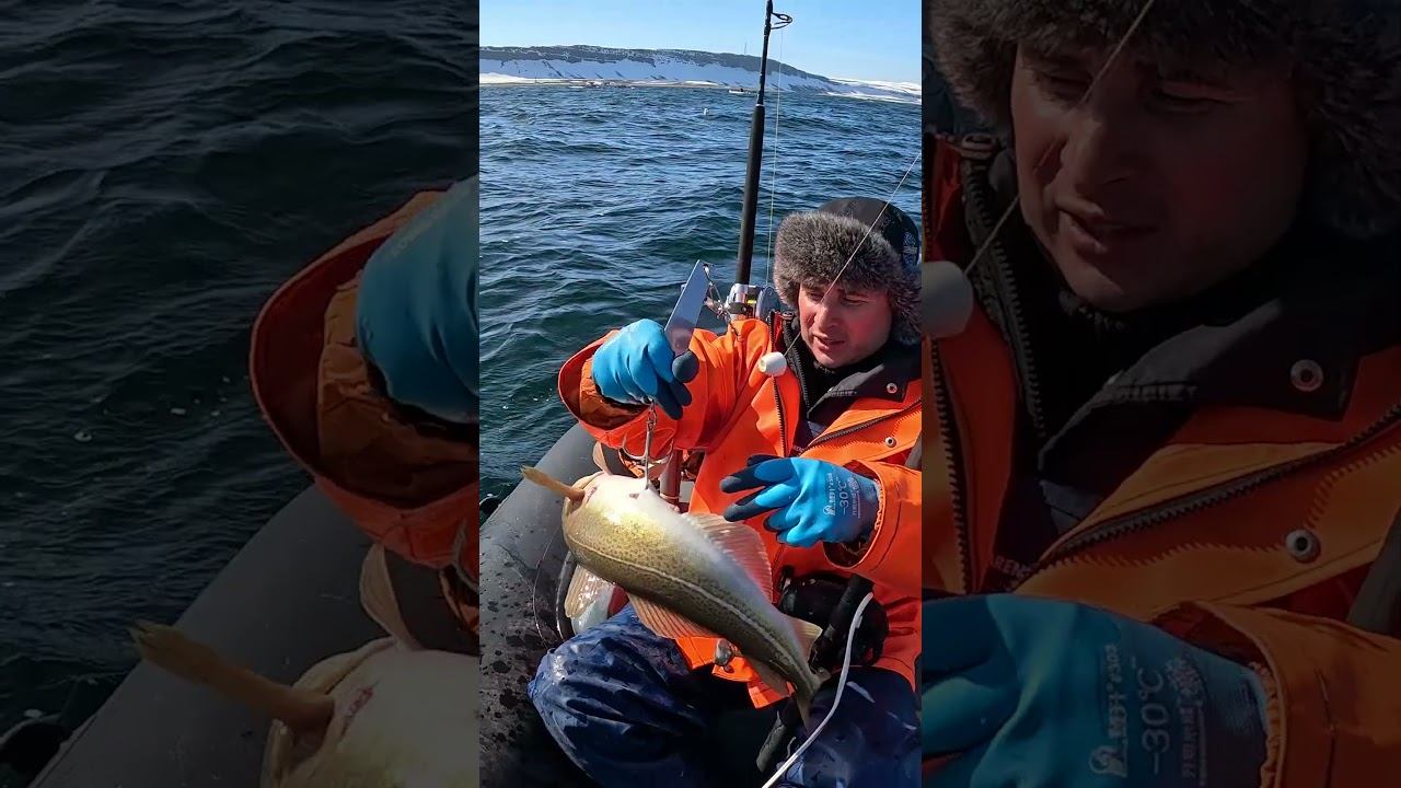 Рыбалка в Северном море #рыбалка #fishing #fish #рыба