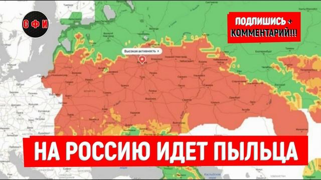 На Россию идет пыльца березы и ольхи #новости