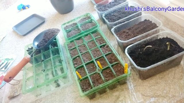 Grow with me🌿 सब्जी और फूलो के बीज उगाये 🌿/Organic gardening landscape