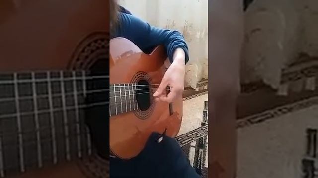 Թռչեի մտքով տուն ( guitar cover )
