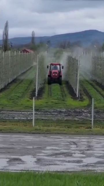 Опрыскиватель садовый ОПВ2000К с увеличенной колонной,  работа в саду