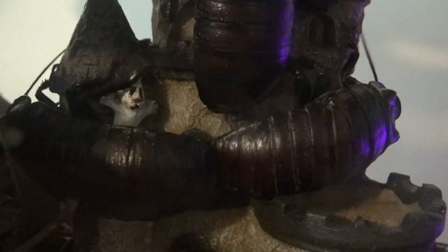 Gromphadorhina portentosa - Hilarious