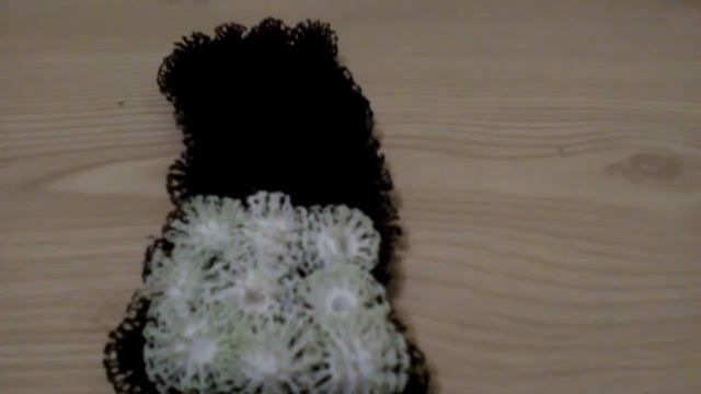 Делаю гиганский суши ролл из банчемса