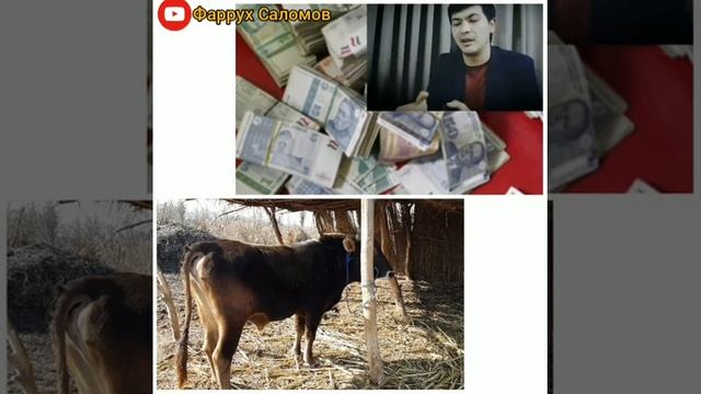 ФАЪОЛИЯТИ ЧОРВОДОРИ 500 ДОЛ ДАР 40 РУЗ