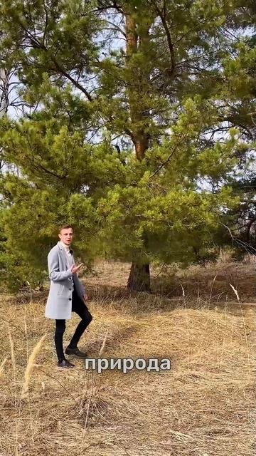 Свой уголок в лесу. Переезжайте сейчас, платите потом! Подробнее по ссылке в шапке профиля.