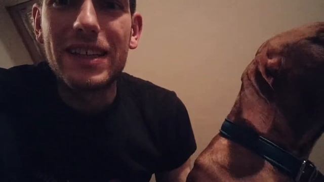 Daily Vlog 5 - Bike interval and paleo apple cinnamon pie