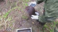 Старинные колёса. Ретро. Малиновка. Видео из моего архива.