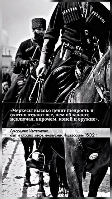 Кабардинская Порода Лошадей | Черкесия