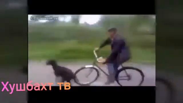 1995 йил туй кандой булган