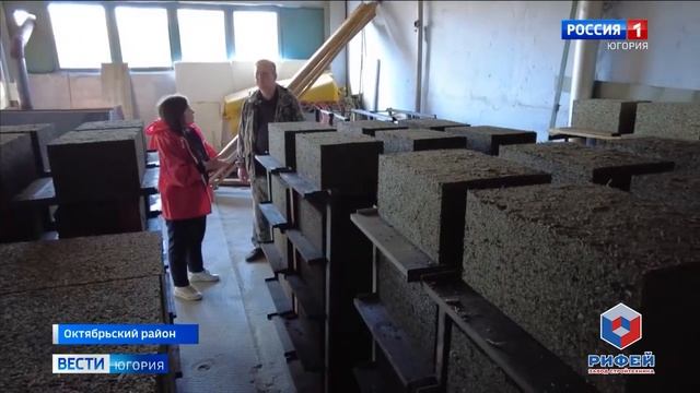 Цех по выпуску арболитовых блоков