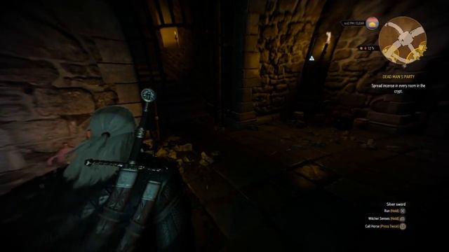 The Witcher 3: Wild Hunt - Shani, Geralt And The Ghost