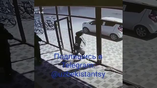 Ударилась об стекло, прикол. Узбекистан 2019 год