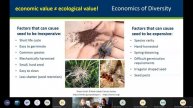 Designing Seed Mixes with Pollinators in Mind