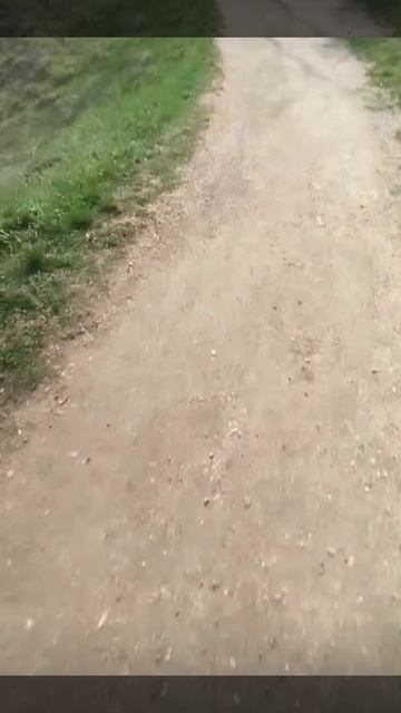 1000056179.mp4