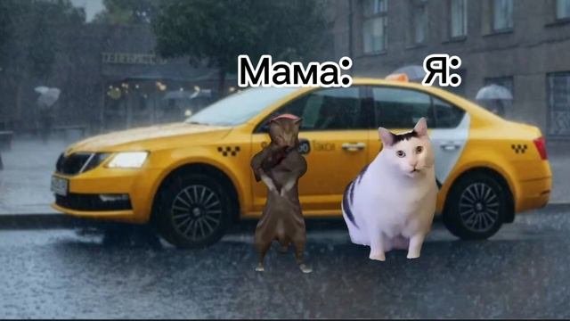 Кошачья жизнь 1 сезон 3 серия