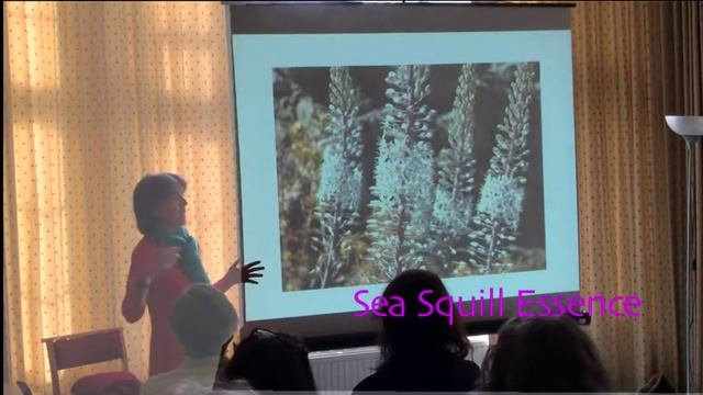 Sea Squill Mediterranean Essence