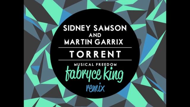 Sidney Samson & Martin Garrix - Torrent (Fabryce King Remix)