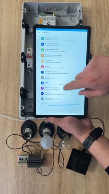Настройка умного выключателя Home Assistant контроллер EVOLGA S1